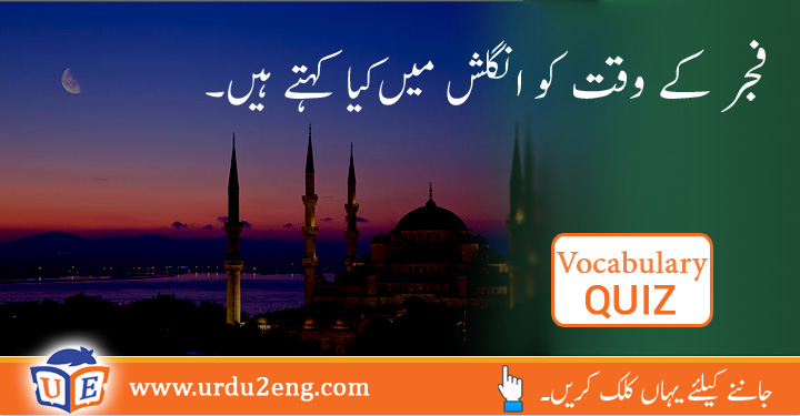 Conserve Urdu Meanings