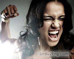 angry Urdu Meaning