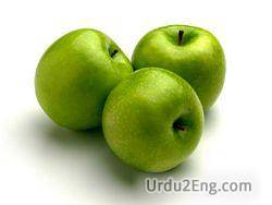 apple Urdu Meaning