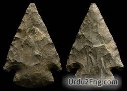 arrowhead Urdu Meaning