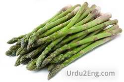 asparagus Urdu Meaning