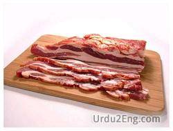 bacon Urdu Meaning