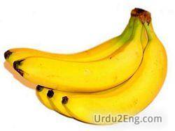 banana Urdu Meaning