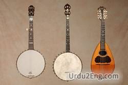 banjo Urdu Meaning