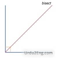 bisect Urdu Meaning
