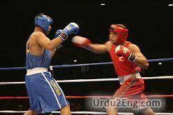 boxer Urdu Meaning
