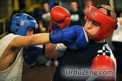 boxing Urdu Meaning