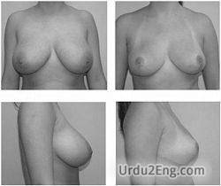 breast Urdu Meaning