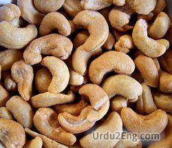 cashew Urdu Meaning