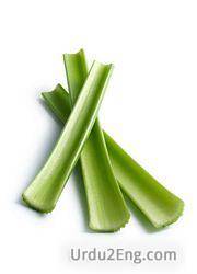 celery Urdu Meaning