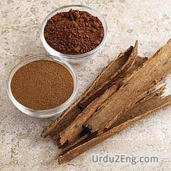cinnamon Urdu Meaning