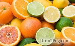 citrus Urdu Meaning