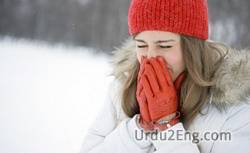 cold Urdu Meaning