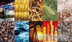 commodity Urdu Meaning