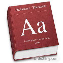 dictionary Urdu Meaning