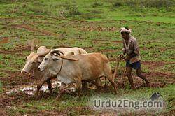 farmer Urdu Meaning