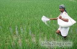 fertilizer Urdu Meaning