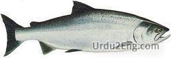 fish Urdu Meaning
