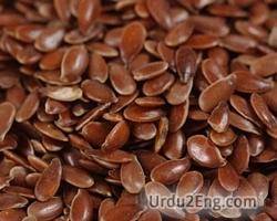 flaxseed Urdu Meaning