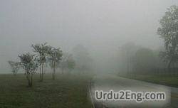 fog Urdu Meaning