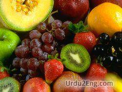 fruit Urdu Meaning