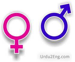 gender Urdu Meaning