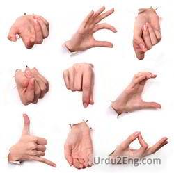 gesture Urdu Meaning