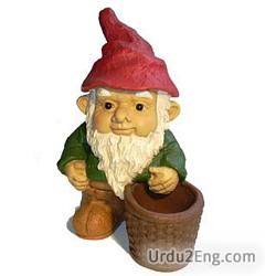 gnome Urdu Meaning