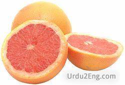 grapefruit Urdu Meaning