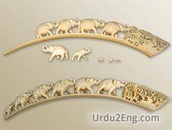 ivory Urdu Meaning