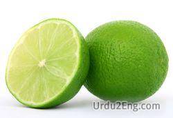 lime Urdu Meaning