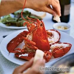 lobster Urdu Meaning