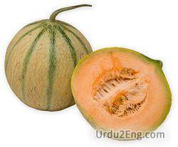 melon Urdu Meaning