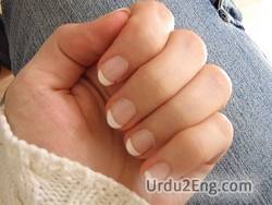 nail Urdu Meaning