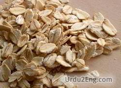 oatmeal Urdu Meaning