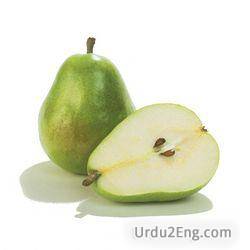 pear Urdu Meaning