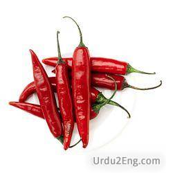 pepper Urdu Meaning