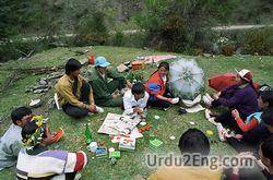picnic Urdu Meaning