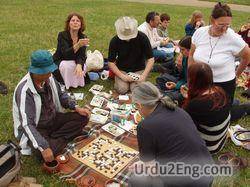 picnic Urdu Meaning