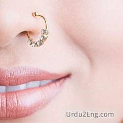 pierced Urdu Meaning