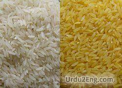 rice Urdu Meaning