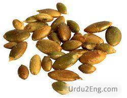 seed Urdu Meaning