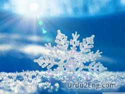 snowflake Urdu Meaning