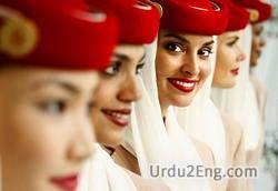stewardess Urdu Meaning