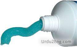 toothpaste Urdu Meaning