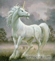 unicorn Urdu Meaning