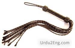 whip Urdu Meaning