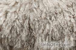 wool Urdu Meaning