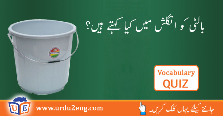 Kick The Bucket Meaning In Urdu, عوام: مرنا، ہوچکنا۔