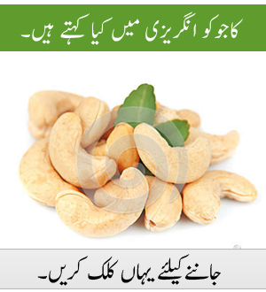 Cashewnut